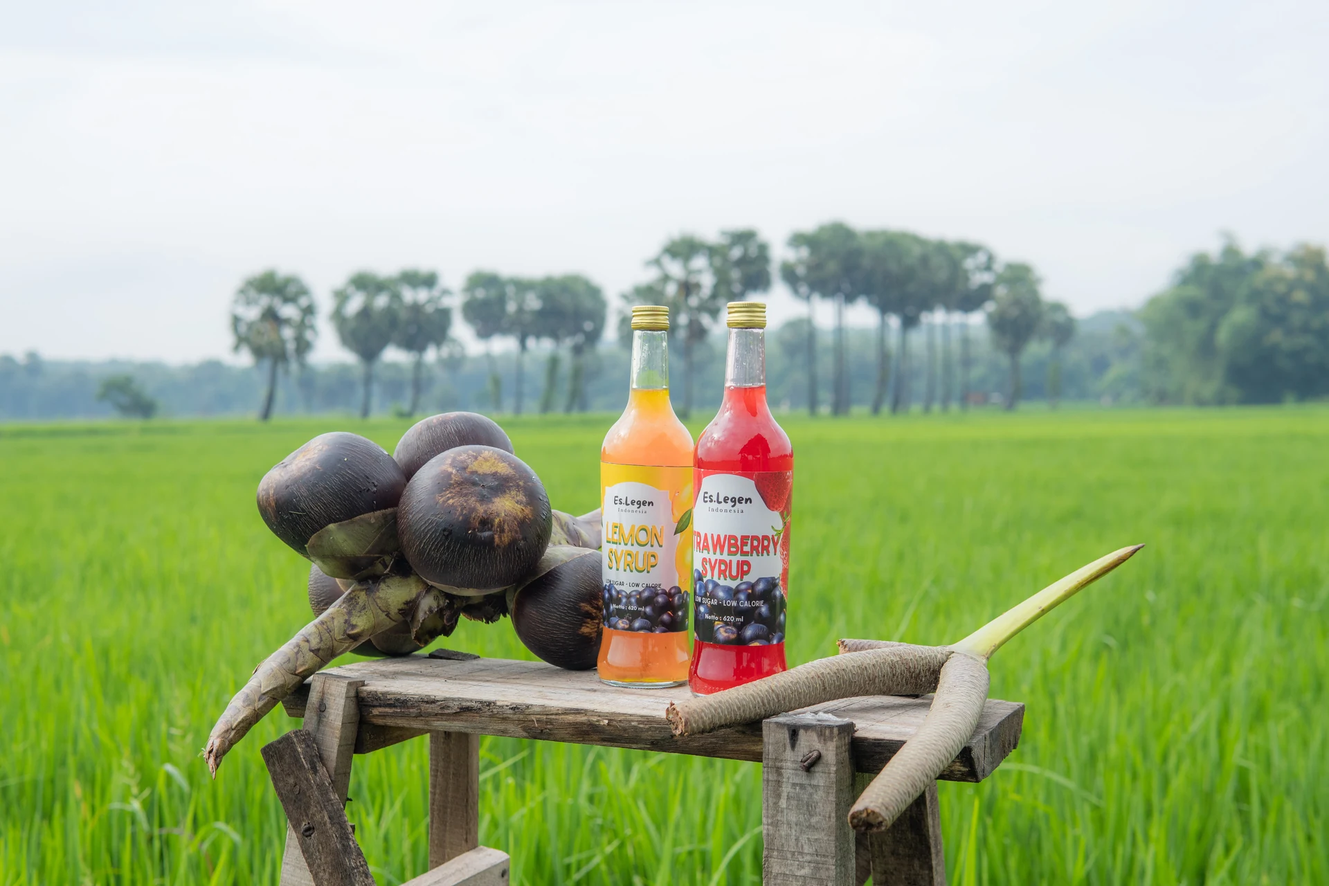 Gentar — Traditional Palmyra Syrup
