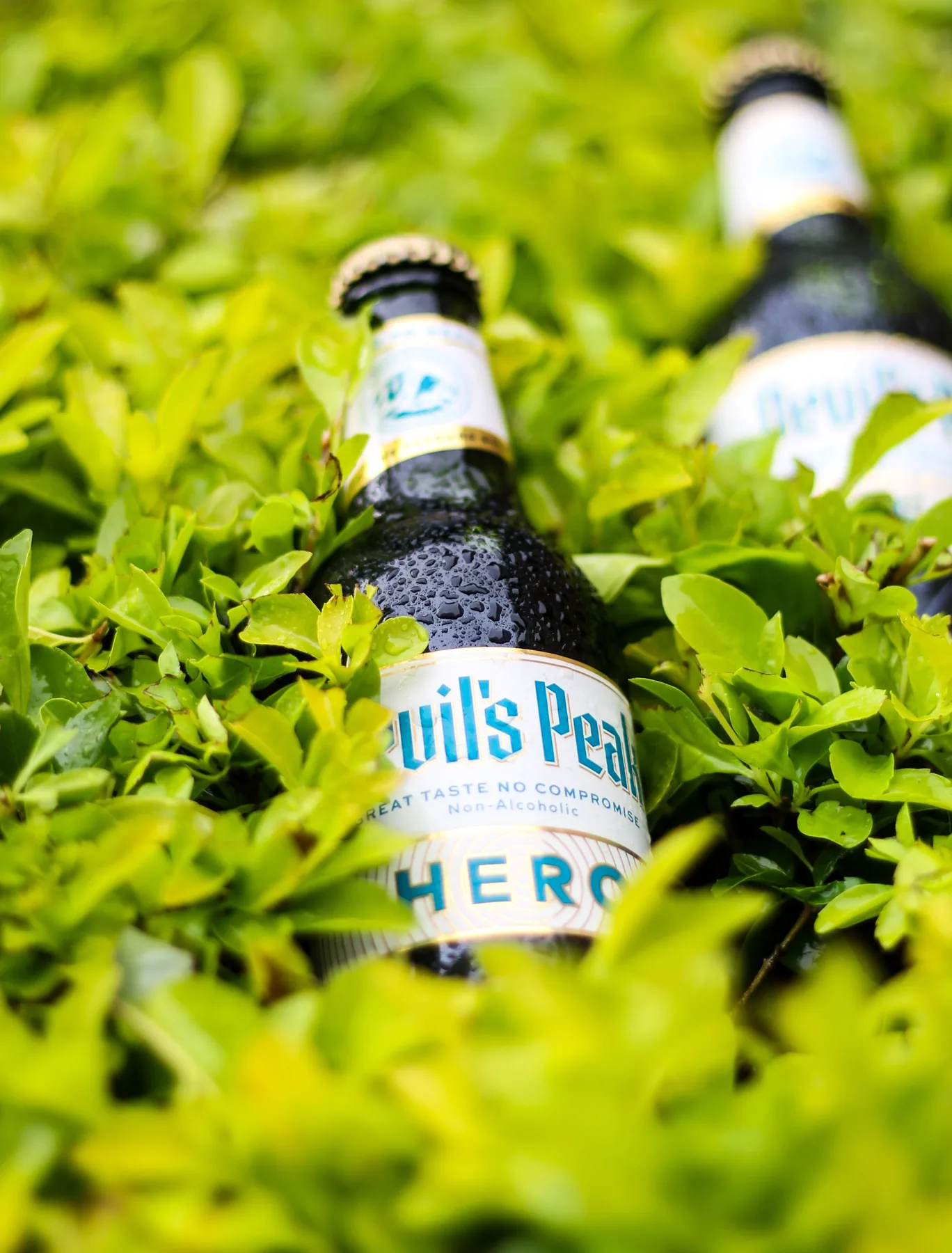 Legend Tren bottled Palmyra beverage